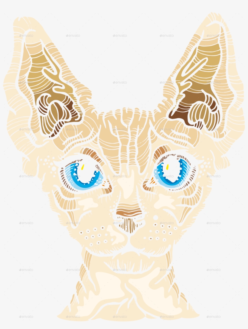 Cat 8 - Sphynx Cat, transparent png download