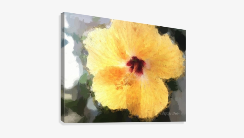 Lady Yellow Canvas Print - Hawaiian Hibiscus, transparent png download