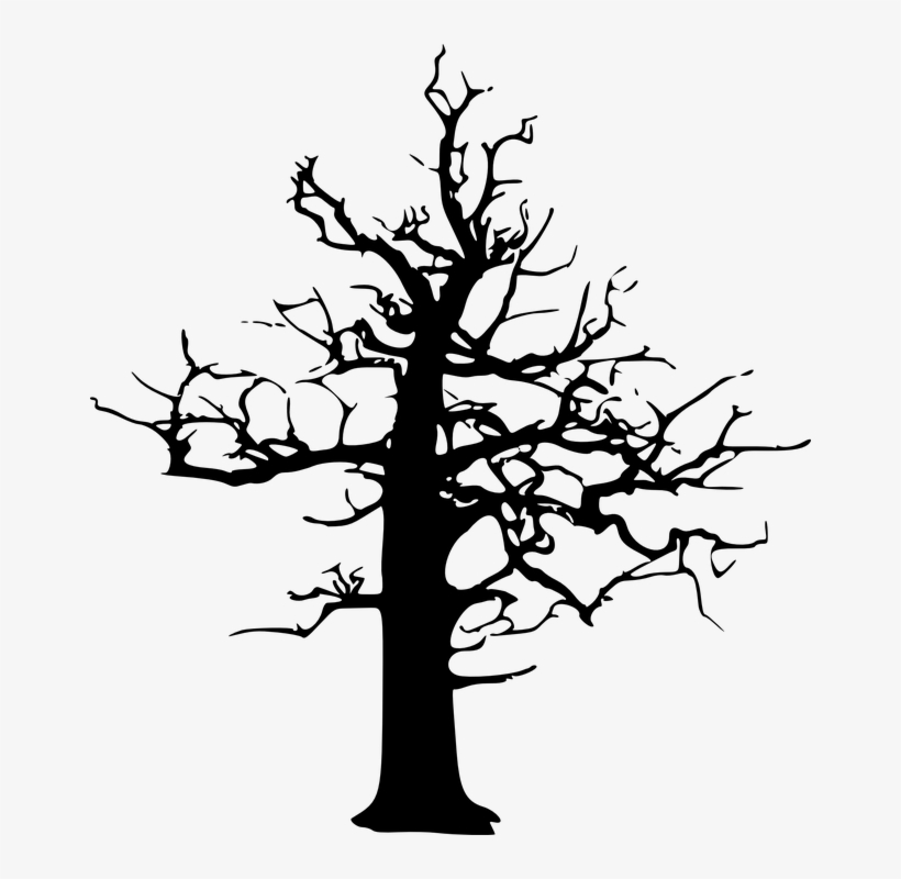 4057693292, Forest In Winter - Png Dead Tree, transparent png download