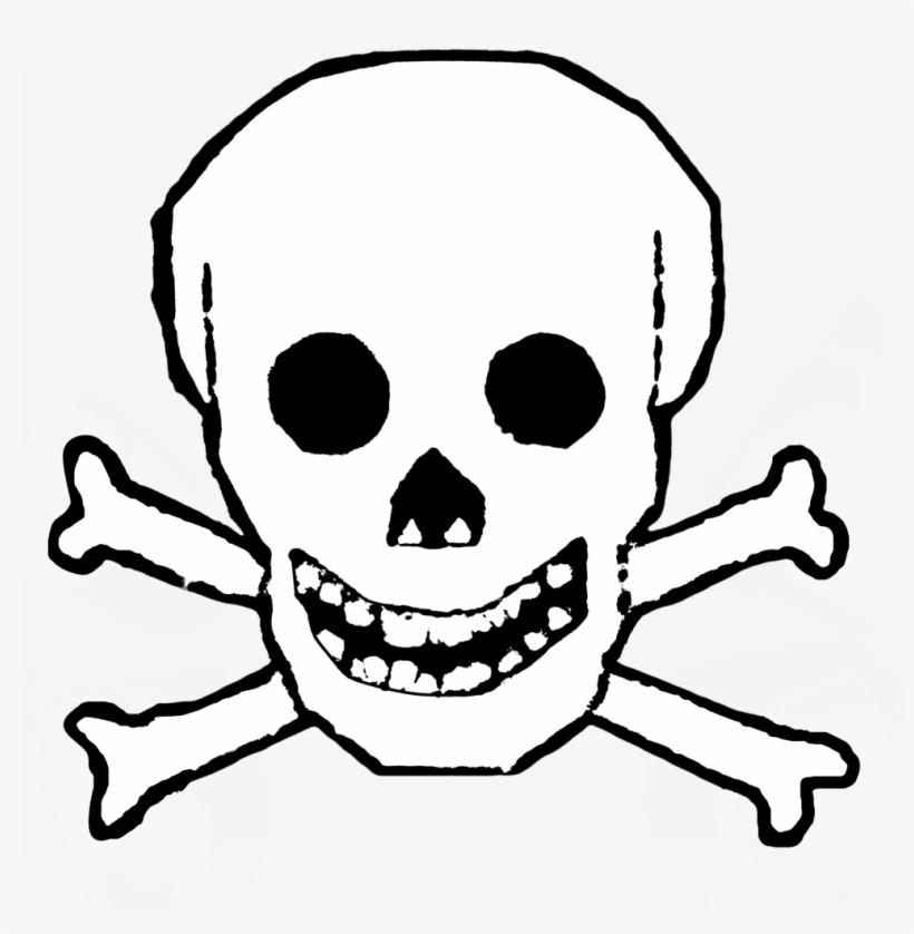 Snakeskin Drawing Skull - Skull, transparent png download