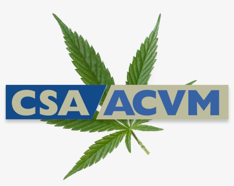 Csa Provides Further Guidance On Reporting Issuers' - Emblem, transparent png download