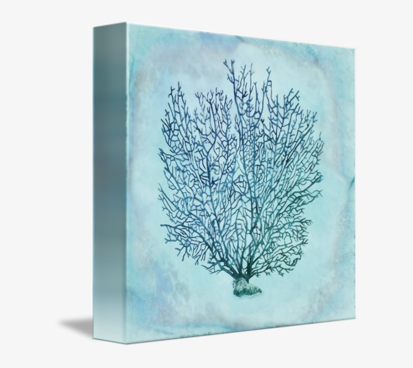 Coral Watercolor Png Png Free Library - Michael Aram Fan Coral Sculpture Oxidized (special, transparent png download