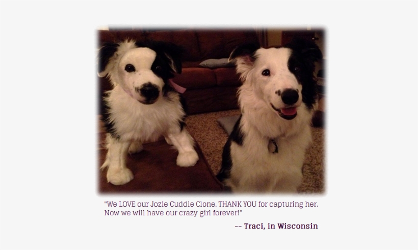 Clone Of Your Pet Stuffed Animal, transparent png download