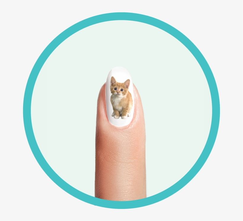 Nailvy Whale Kitten - Paw, transparent png download