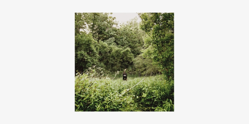 Pale Light - Pale Light - Cd, transparent png download