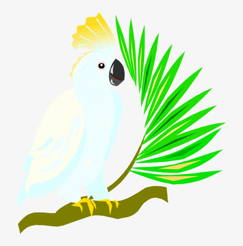 Tail Clipart Parrot - Cockatoo Clipart Transparent Background, transparent png download