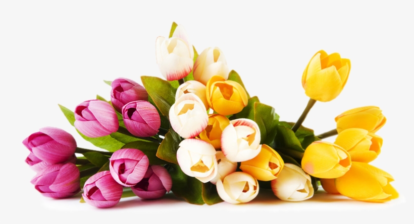 Good Morning My Sweet Sister, transparent png download