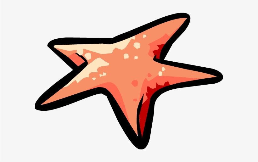 Starfish - Starfish Png, transparent png download