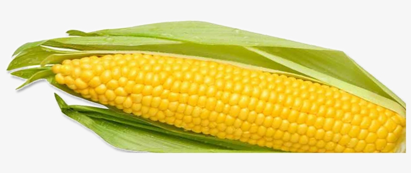 Corn Icon Clipart - Corn On A Cob Png, transparent png download