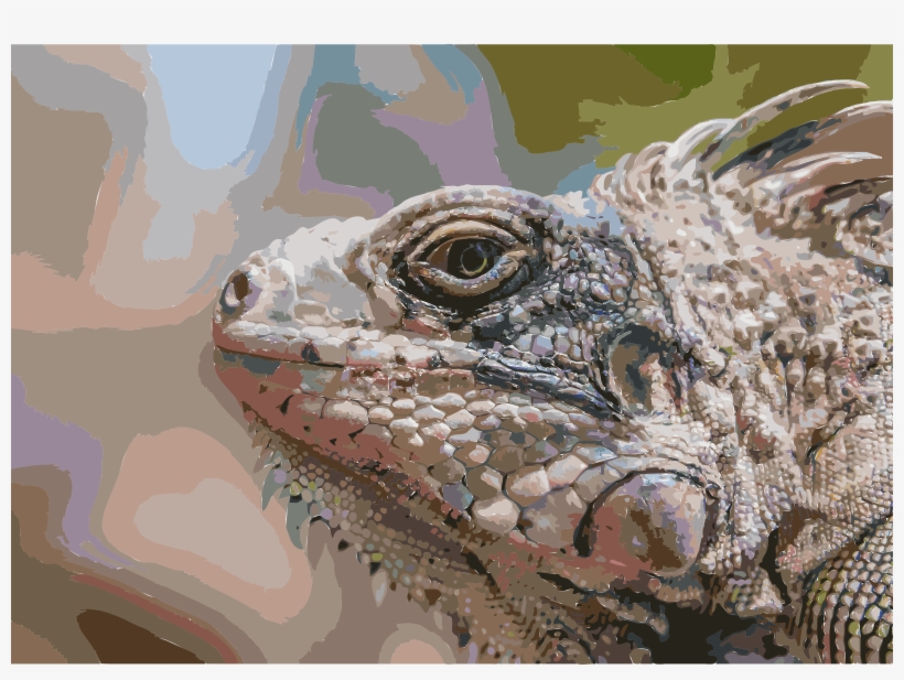 Lizard Reptile Margarita Island Green Iguana - Profile Of A Lizard, transparent png download
