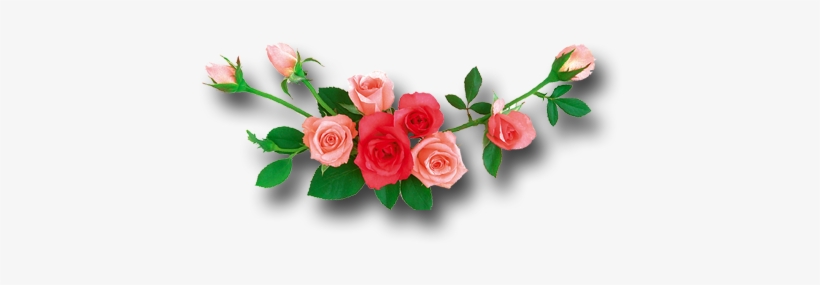 Decoration Rose Flower Png - Rose, transparent png download