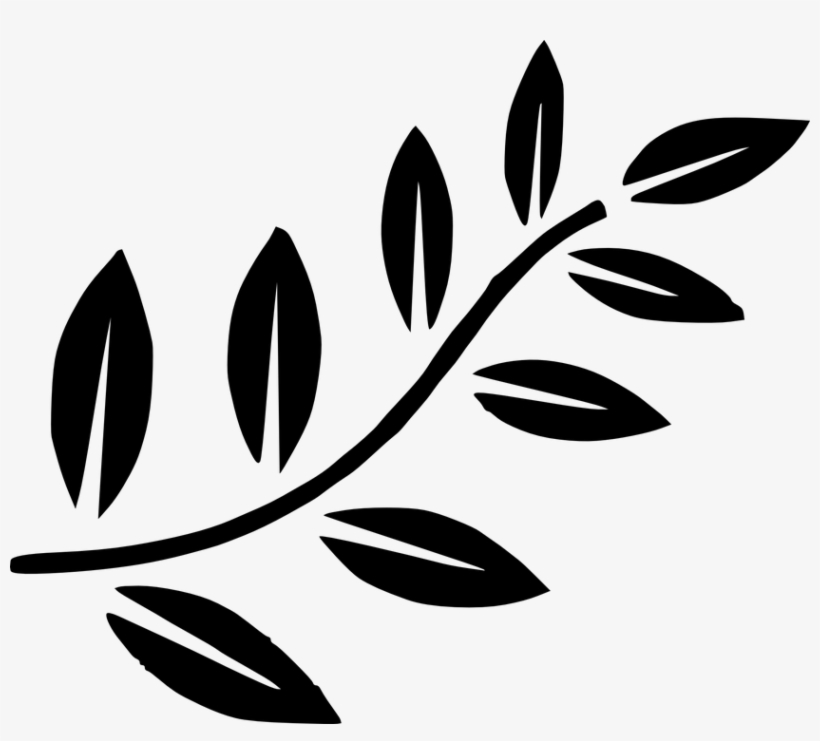 Shidagakure Fern - Olive Branch Clipart Black And White, transparent png download