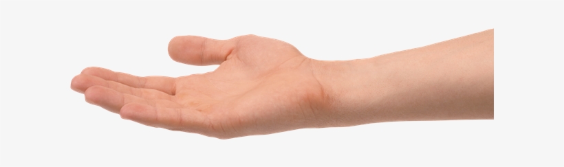 Nos Permite Conocer Mejor La Realidad, La Existencia - Sign Language, transparent png download