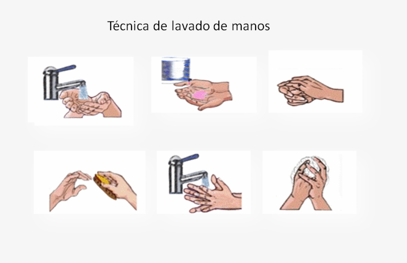 Lavado De Manos - Tecnica De Lavado De Manos, transparent png download