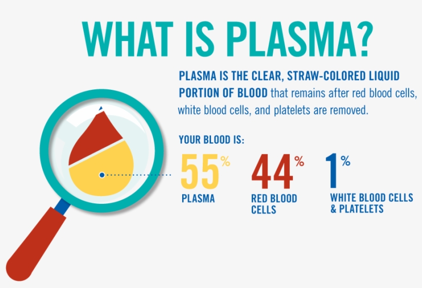 Click The Thumbnails Below For More Information On - Blood Plasma Used, transparent png download
