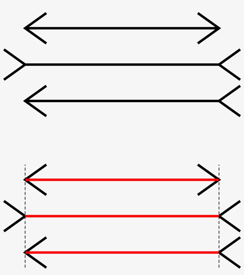 Except That It Doesn't If You Aren't Raised In A Western - Muller Lyer Illusion, transparent png download