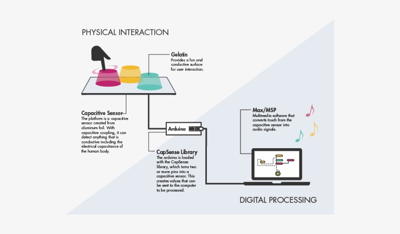 Linda Le, transparent png download
