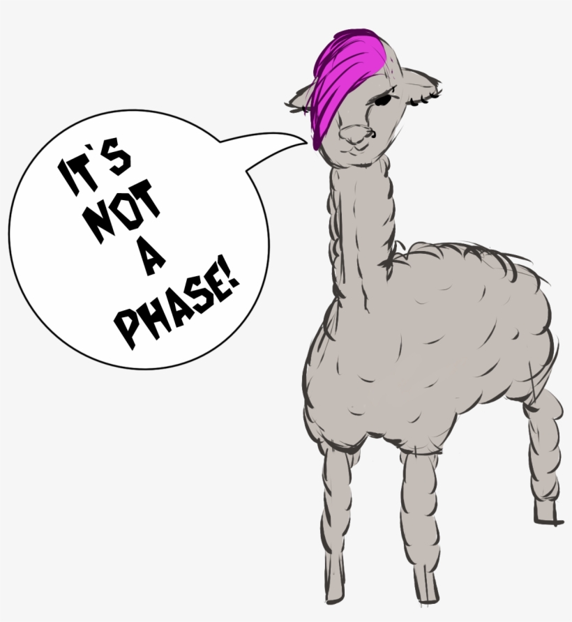 It's Not A Phase Alpaca - Transparent Images Of Alpacas, transparent png download