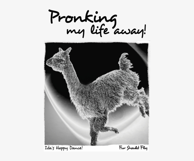 Pronking My Life Away - T-shirt, transparent png download