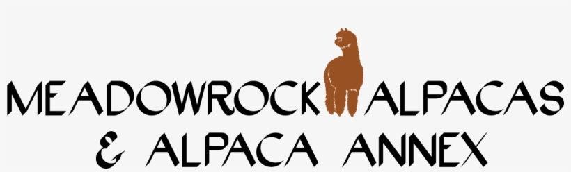 Menu - Book, transparent png download