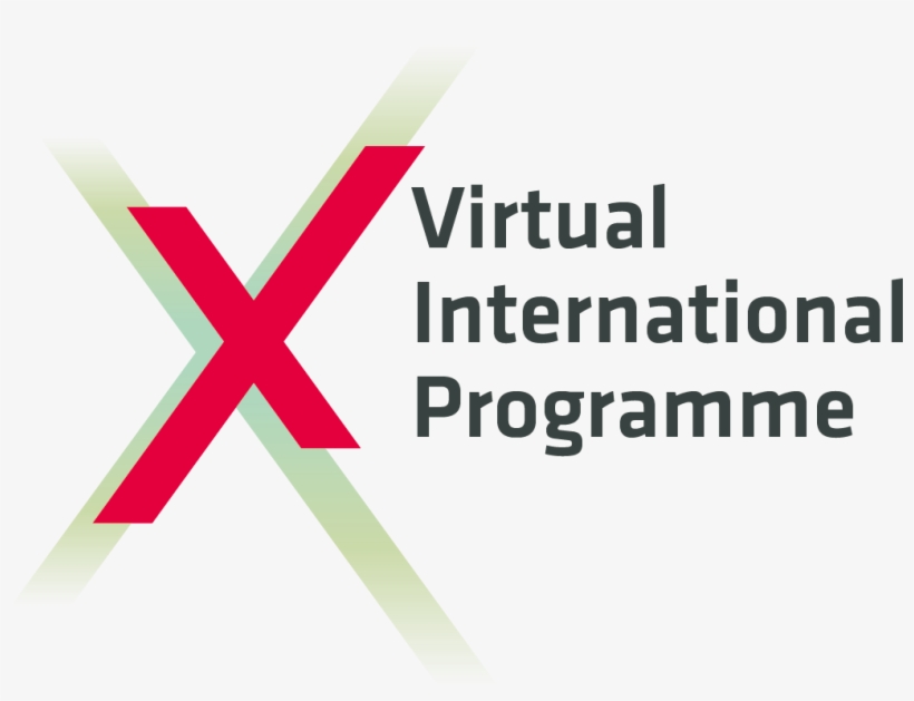 16432 Pfz Xell Virtual International Programme Cmyk - Baltic Sea Region Programme, transparent png download