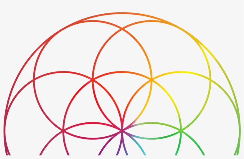 Show Up For Your Life - Transparent Seed Of Life, transparent png download