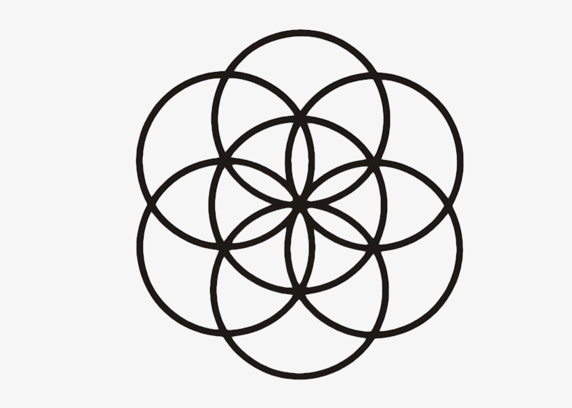 Invisible Seed Of Life V=1490630708 - Roundtable For Sustainable Biomaterials, transparent png download