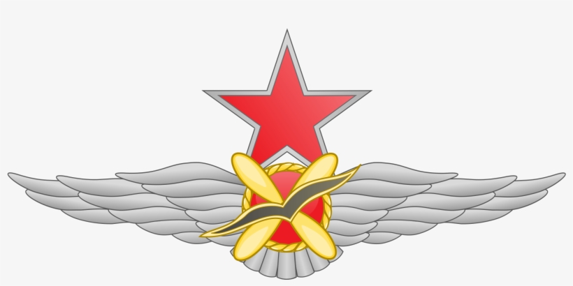 Open - Alas De Piloto Png, transparent png download
