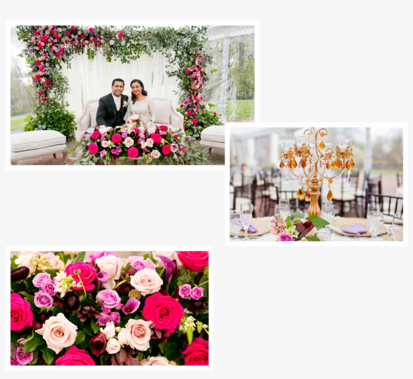 Aaliyah Sami Event Slider - Garden Roses, transparent png download