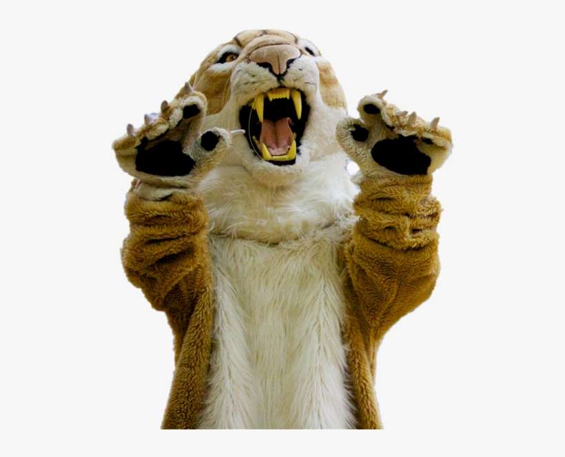 Cougar, transparent png download