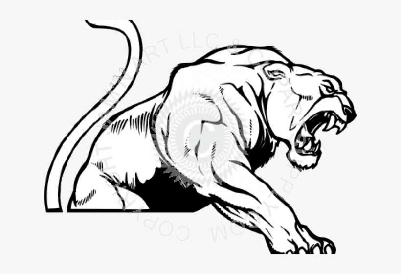 Drawn Cougar - Stickalz Llc Wild Lion Vinyl Wall Art Decal Sticker, transparent png download