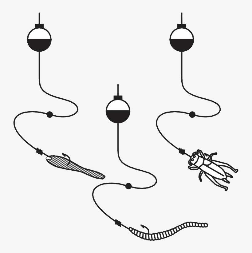 Fishing, transparent png download