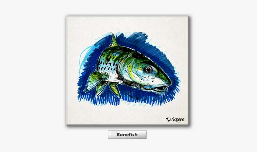 My Works Try And Grasp Those Last Few Moments Of Anticipation - Trout, transparent png download