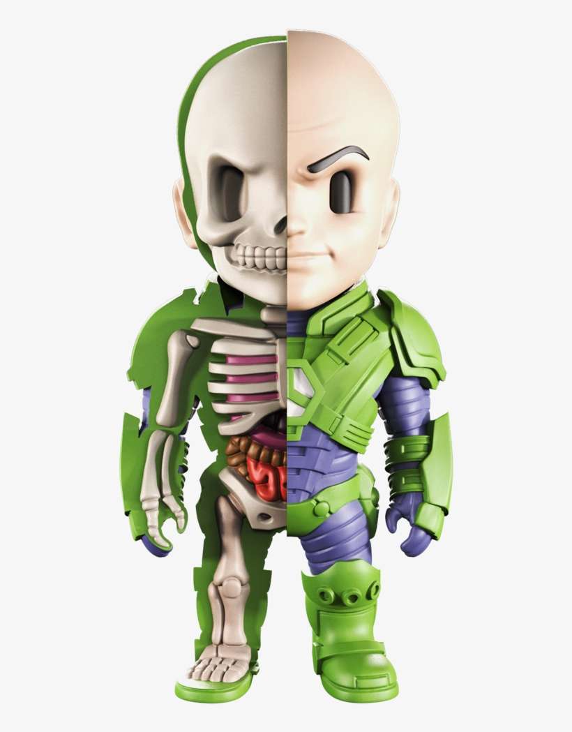 Xxray Dc Comics Figures, transparent png download
