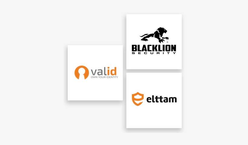 Security Logo Examples - Black Lion, transparent png download