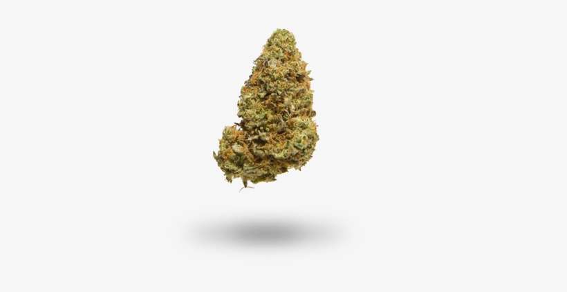 X - Cannabis, transparent png download