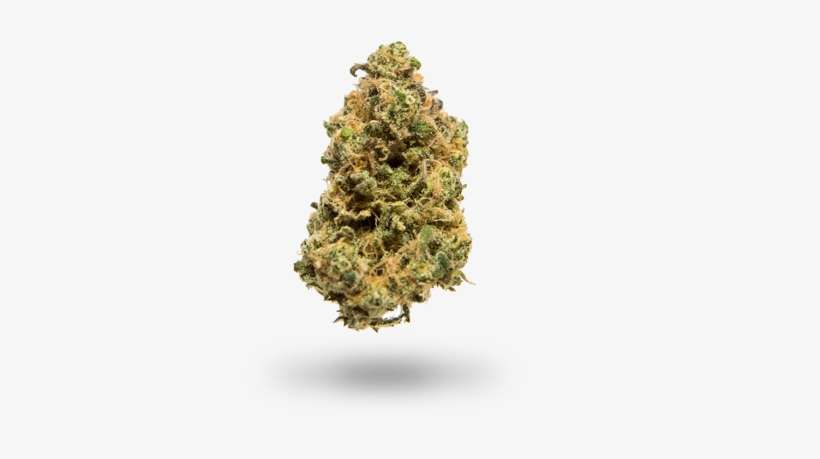 X - Christmas Tree, transparent png download