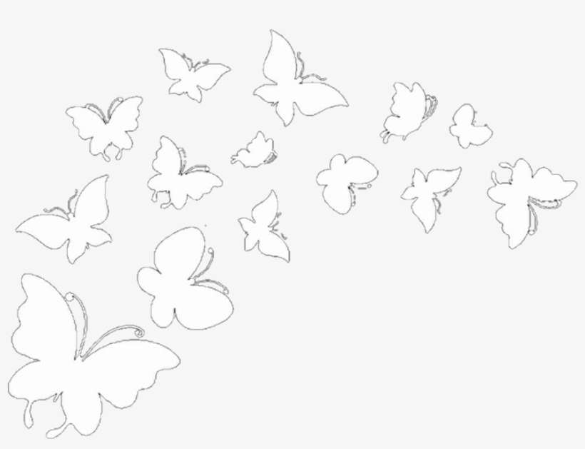 Butterflies Butterfly Overlay Iconoverlay Icon Overlays Butterfly