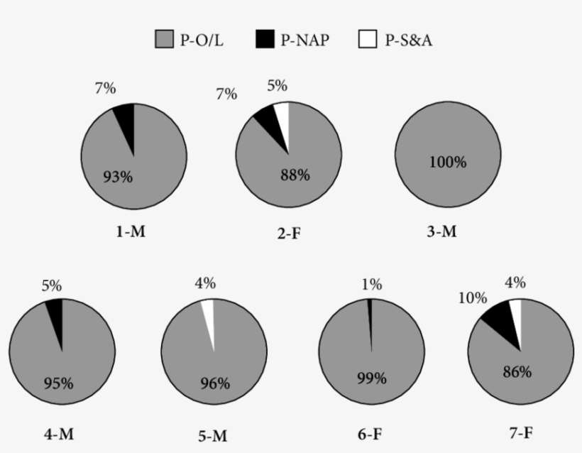 Distribution Of Gestural Indexes In Each Child's Total - Production, transparent png download