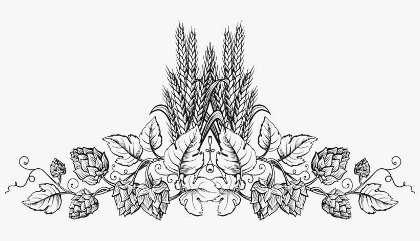 Scroll - Houblon Design, transparent png download