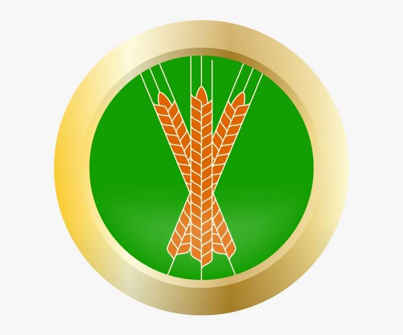 Circle, transparent png download