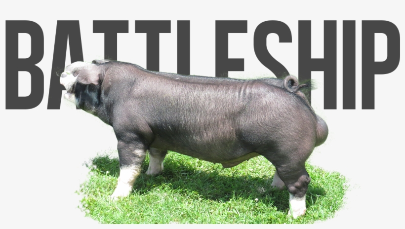 Like No Other X Bravo - Wall Decal, transparent png download