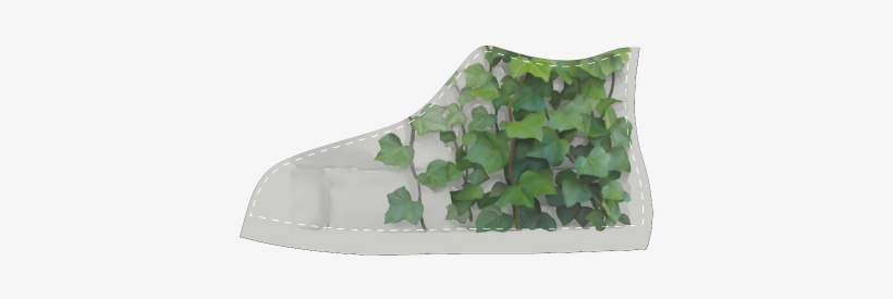 Watercolor Vines, Climbing Plant Women's Classic High - Outdoor Shoe, transparent png download