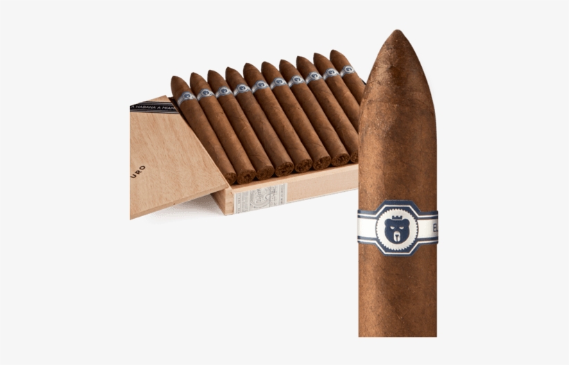 Warped El Oso Cub - Bear, transparent png download