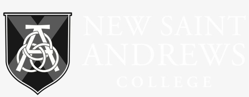 07 Aprnsalogo Horizstackedx Nsa White - Teacher, transparent png download