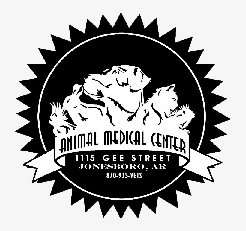 Amc Logo - Certificate Gold Seal Png, transparent png download