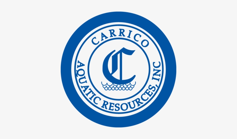 Carrico Aquatics - Central Silk Board India Logo, transparent png download