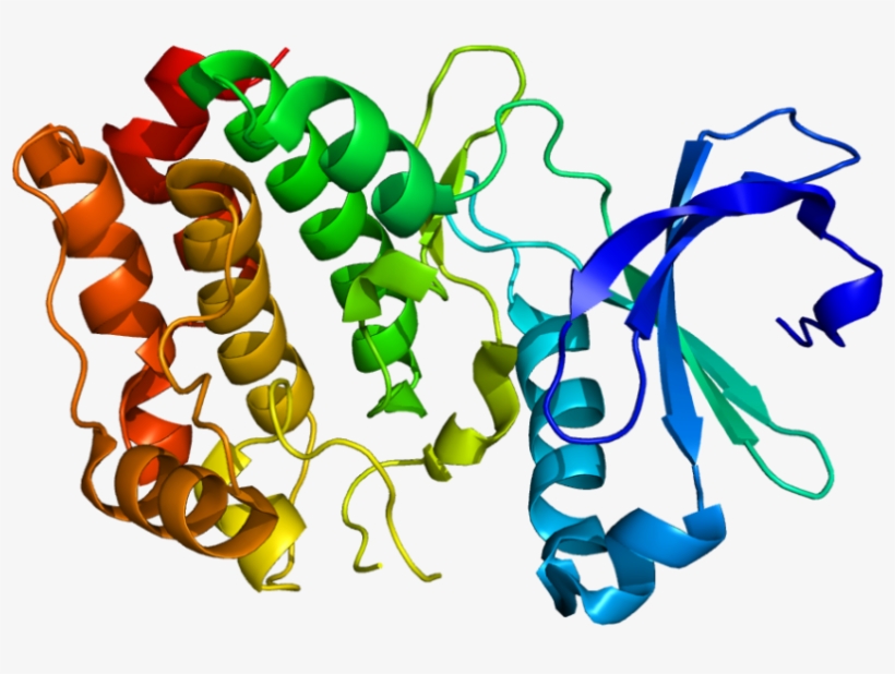 Structure Of The Aurora A Kinase Protein - Virus In Vitro, transparent png download
