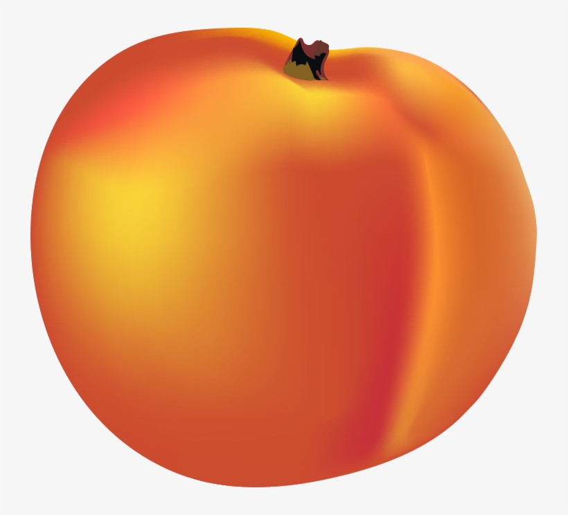 Clip Free Library Buncee My Favorite Part Of Is When - James And The Giant Peach Transparent, transparent png download