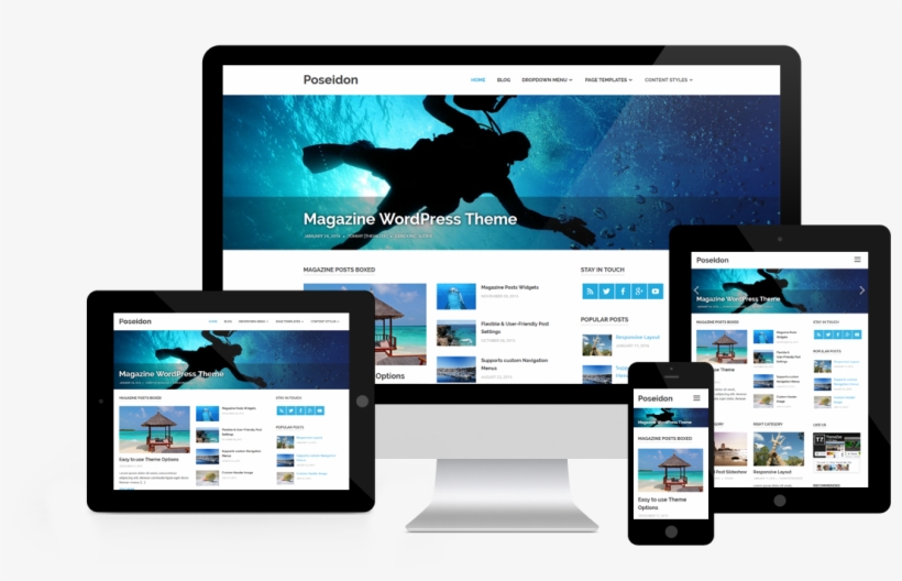 Poseidon Responsive Layout - Member Of The Combat Camera Underwater, transparent png download